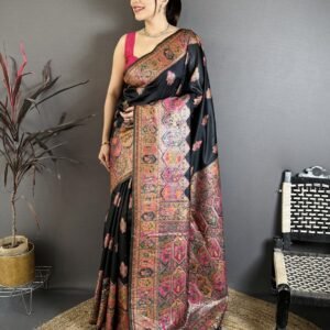 Pashmina Kashmiri Sarees with meenakari kashmiri weaves all over the body