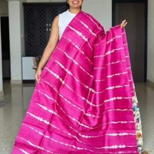 Exquisite Handloom Tussar Saree with Panel Design