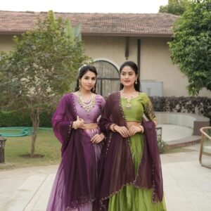 Shimmar Lehenga Choli in deep Dark tones and a bright, contrasting dupatta